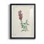 Traditional Botanical I - reproduction de cadre photo-390395411-390395408
