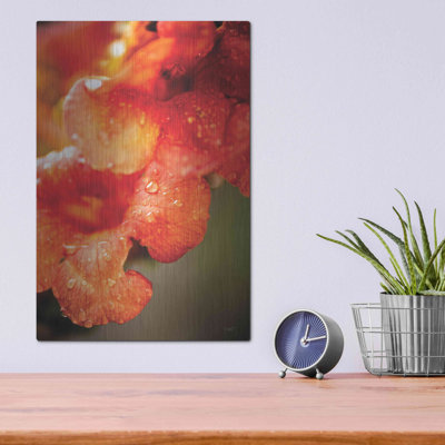 «Orange Glory» par Donnie Quillen, art mural en métal