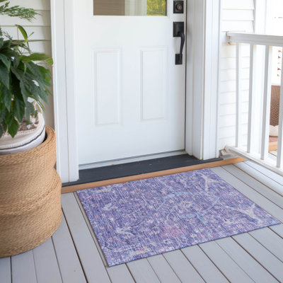 Machine Washable Indoor/Outdoor Kaczor ACN2232 Global Rug