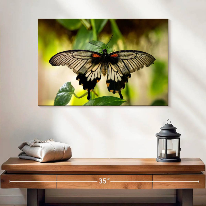 Monarch Butterfly, 30" H x 45" W