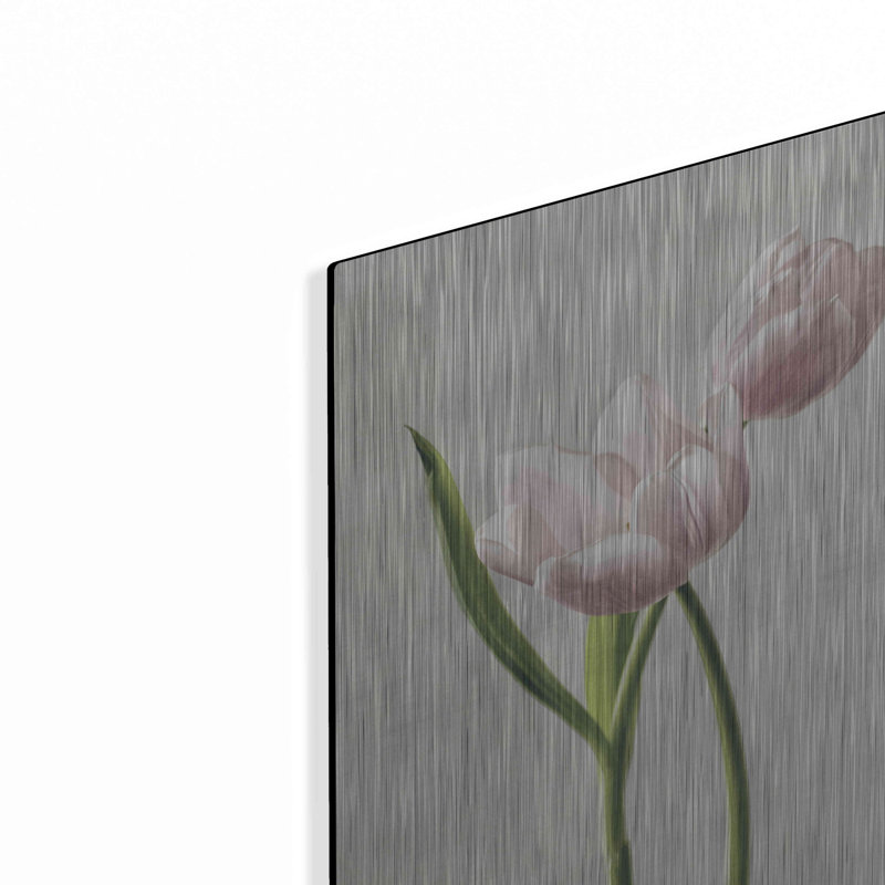 «Light Tulips III» par Debra Van Swearingen, H 16 po x l 12 po