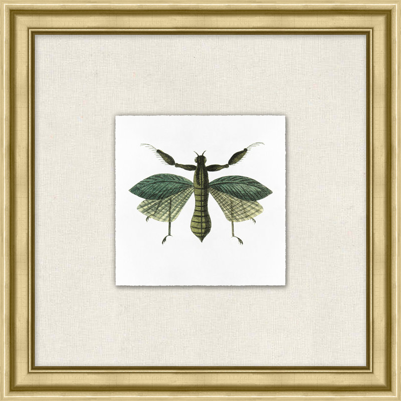 Flying Specimen 6 Print by Lillian August