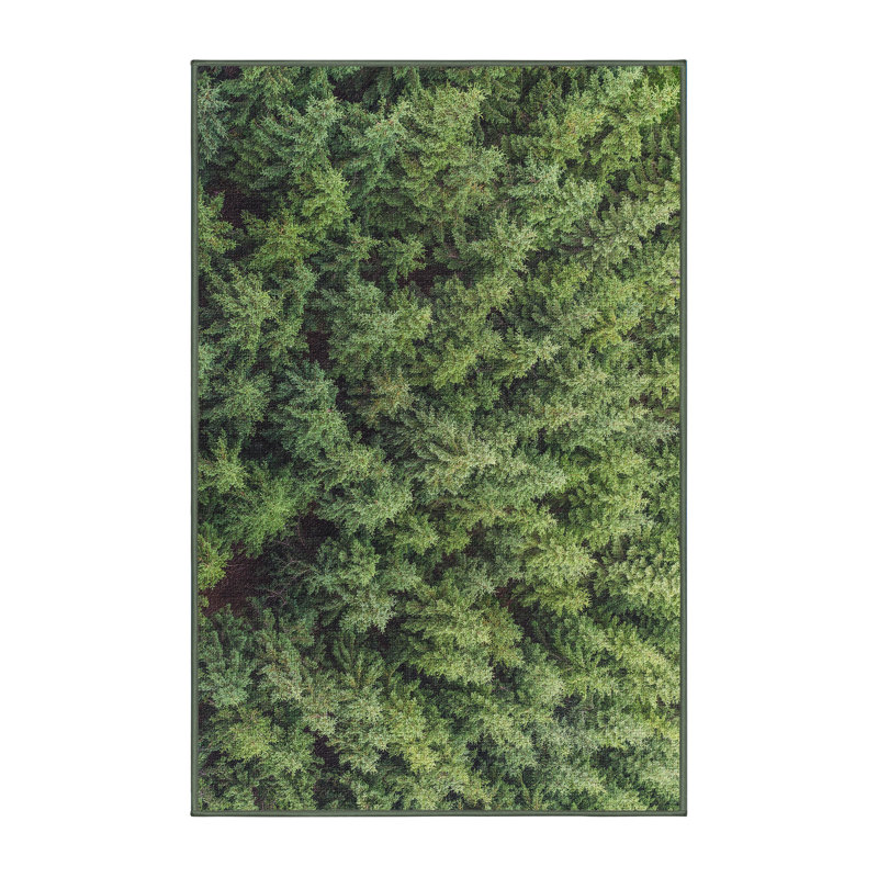 Tapis de la surface verte plante, Rectangle 2 pi x 4 pi