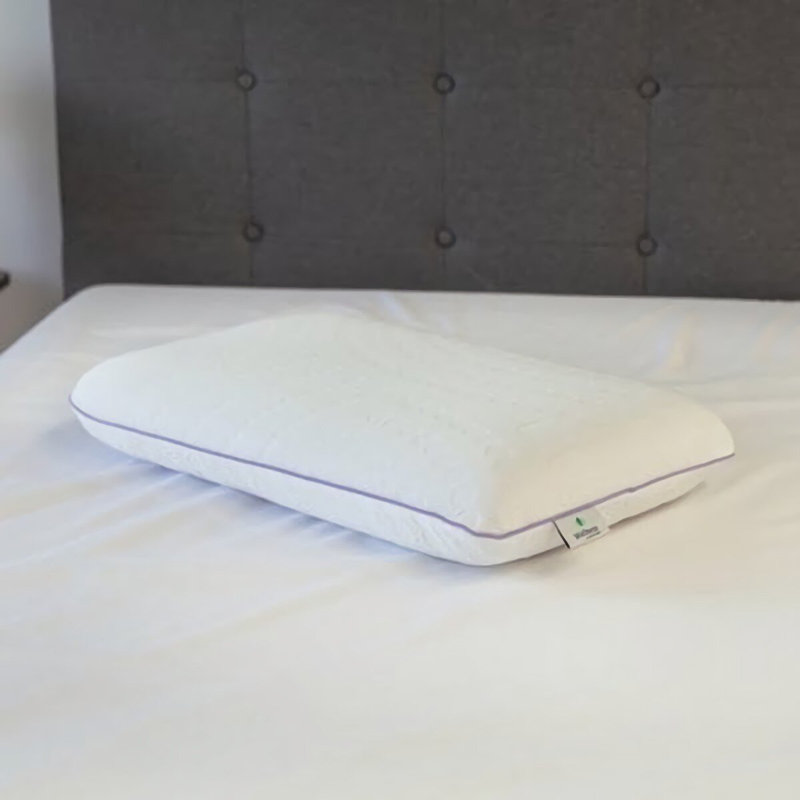 Coussin de soutien Sensorpedic