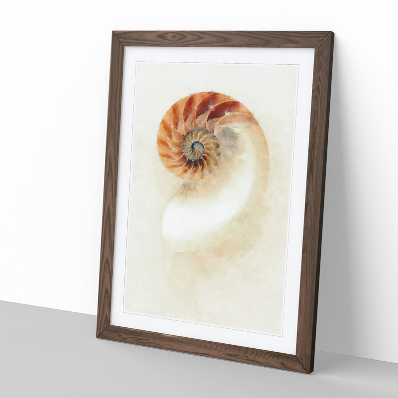 Mother of Pearl Shell - Framed Print, Walnut Framed, 36cm H x 27cm W x 2cm D