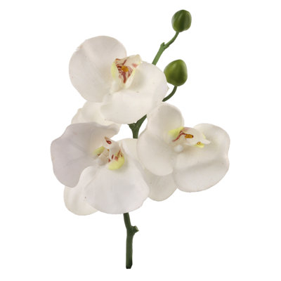 Silk Orchid Arrangement