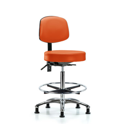 Micah Backed Adjustable Height Ergonomic Lab Stool with Footrest
