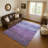 Premium Machine Washable Mehara AMF1699 Stripes Rug-1886341352