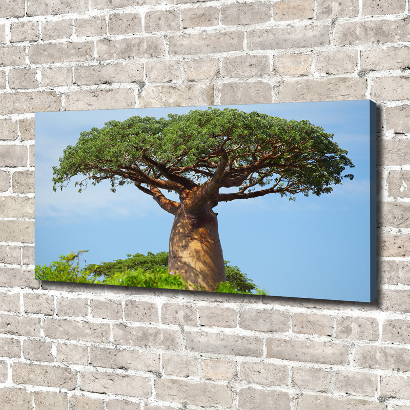 Baobab - No Frame Print on Glass, Canvas, 70cm H x 140cm W x 2cm D