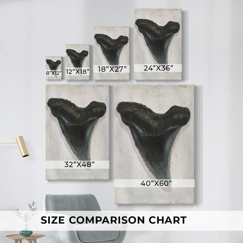 Aquarelle Sharks Tooth I -Gallery Wraraped Cavas, H 48 po x l 32 po