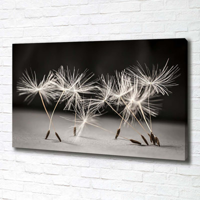 Dandelion Seeds - Wrapped Canvas Print