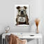 Bouledogue Brampt-108364619