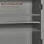 57cm x 47cm Surface Mount Mirror Cabinet-51384343