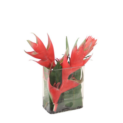 Mélange tropical dans un vase de tulipes