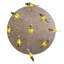 Tiervis 9 - Light Pendant