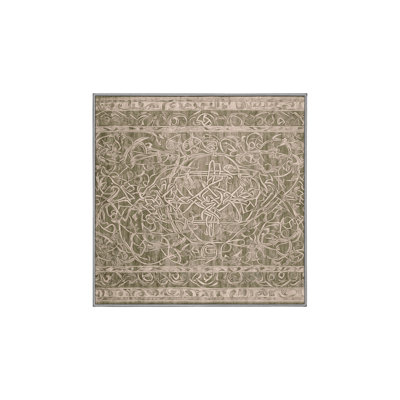 Silky Soft Plush Gray Area Rug