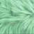 Menthe