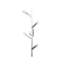 Oaks 4 - Light Wallchiere-70118456