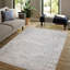 Tapis oriental ivoire et gris-1914208973