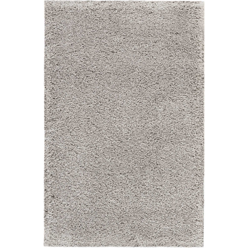 Tapis argenté à longs poils Sunny, Rectangle 2 pi 6 po x 4 pi