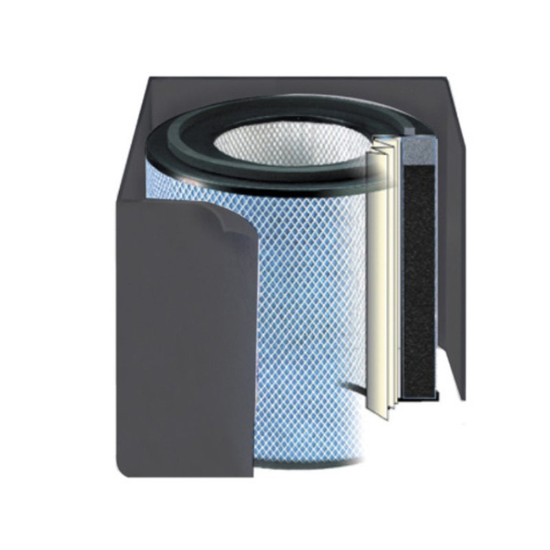 Filtre de rechange Austin Air Healthmate, noir