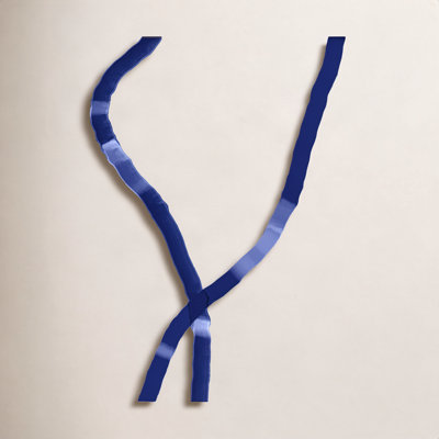 Blue Rope 1 Print by Jacques Pilon