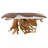 Artistic Floating Teak Root Console Table-90708167-90708168