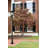 Bourke Lamp Post (Full)-1954187190-1951224749