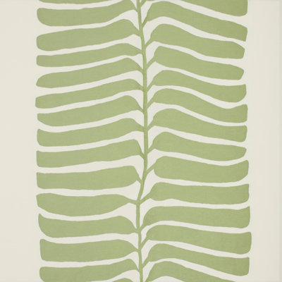Rio Vine