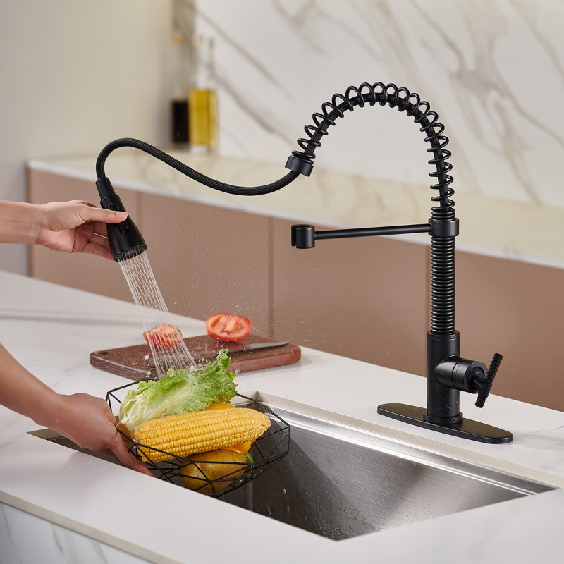Bolden CASAINC 1.8 GPM Spring Neck Pull Down Kitchen Faucet with Deck Plate, Matte Black