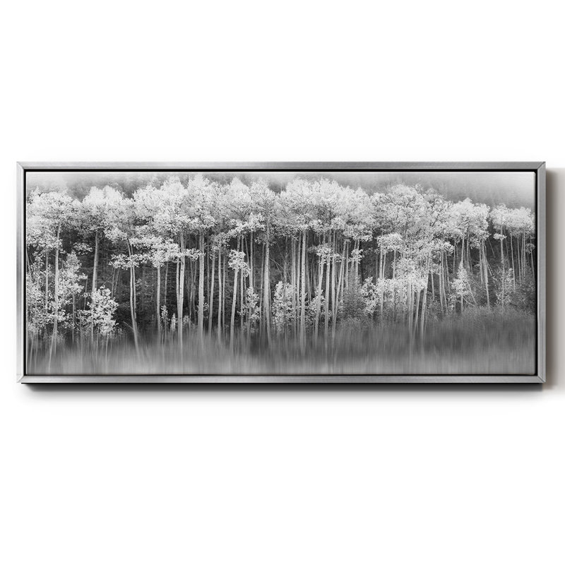 Toile encadrée Dreamy Aspen, H 8 po x l 20 po