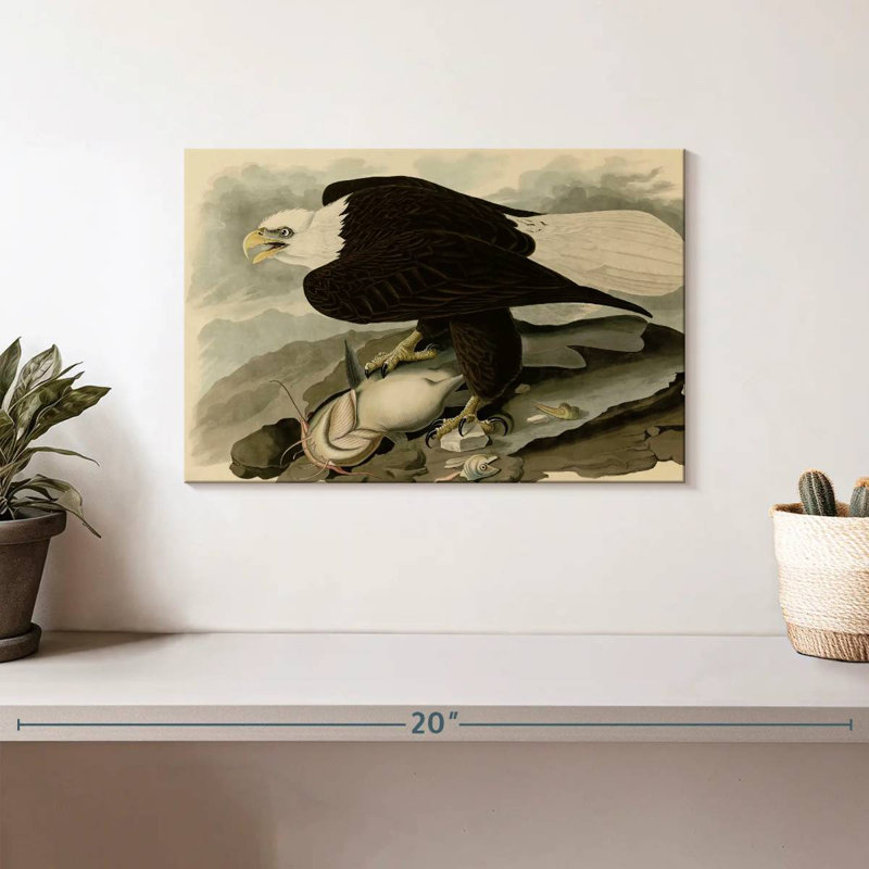 Brampt Whiteheaded Eagle, 8" H x 12" W