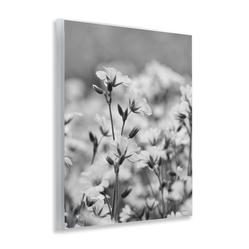 Art floral sur prairie en fleurs par Lori Deiter