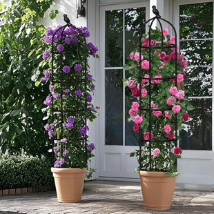 Treillis de jardin pour plantes grimpantes d'extérieur, 6 pi ...