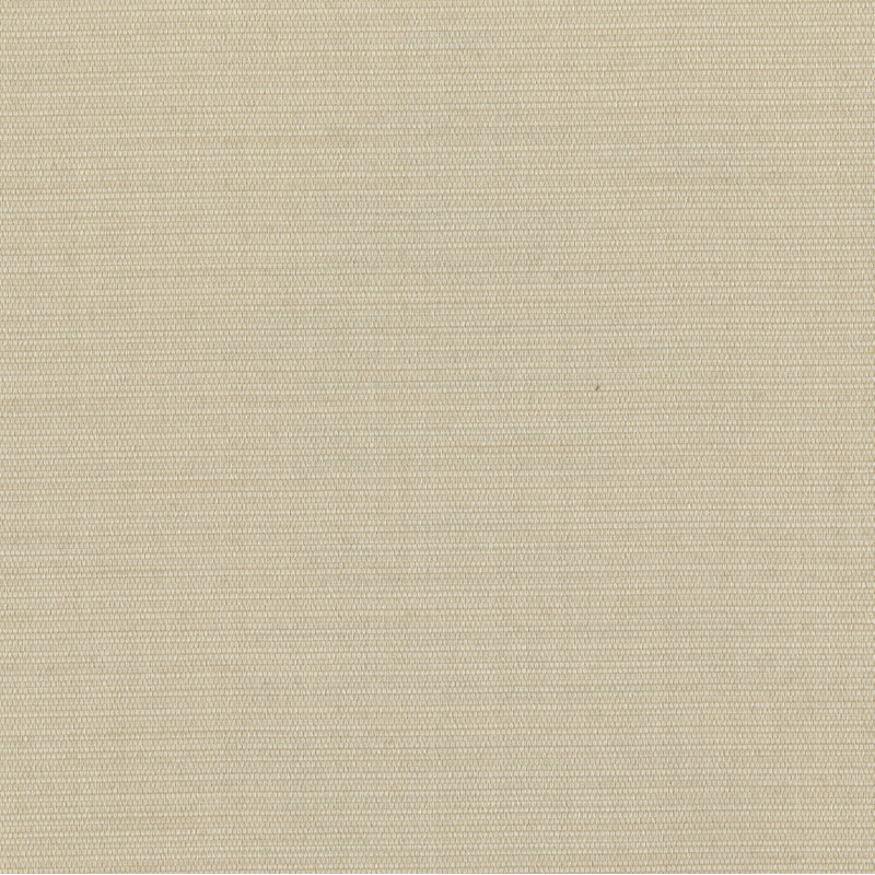 Rouleau de papier peint uni 27 pi x 27 po Texturall III, Kaki