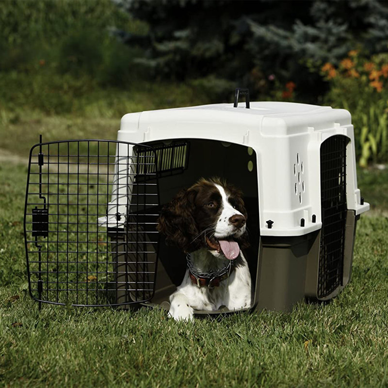 Pet Carrier
