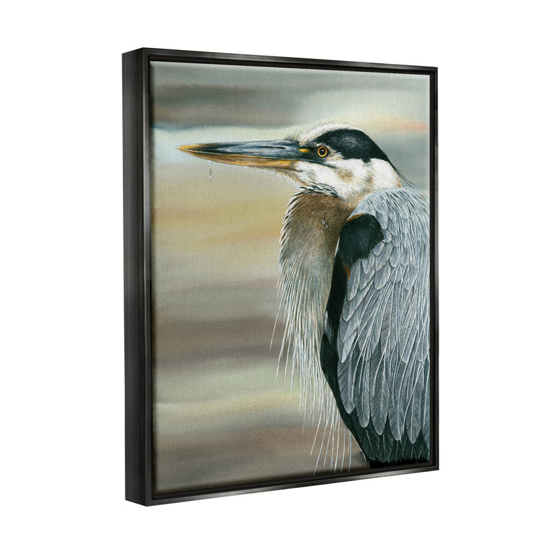 Heron, plume d'oiseau - cadre flottant, impression sur toile, Cadre flottant noir de jais, H 21 po x l 17 po x P 1,7 po
