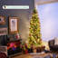 Lighted Artificial Pine Christmas Tree