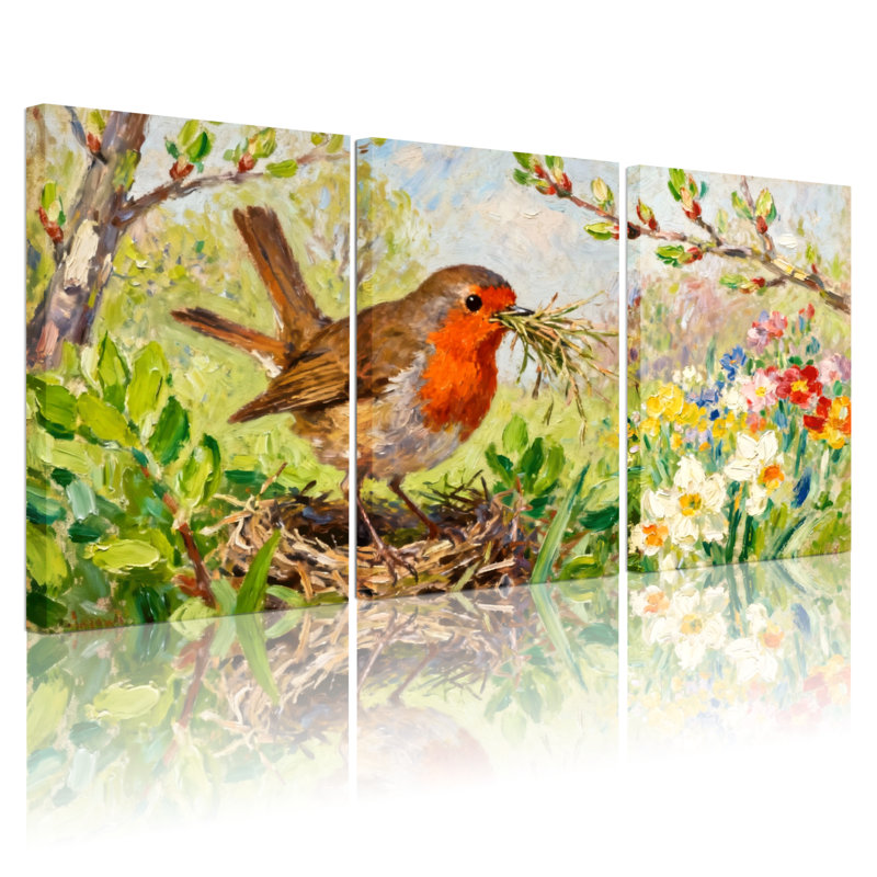 Birds Robin, H 30 po x l 60 po