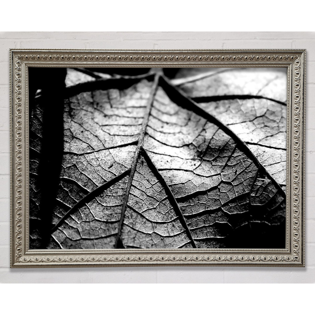 Dry Leaf Silver And Silver - Einzelner Bilderrahmen Kunstdrucke