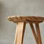 Katrine Solid Wood End Table