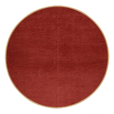 Machine Washable Solid Brown Area Rug