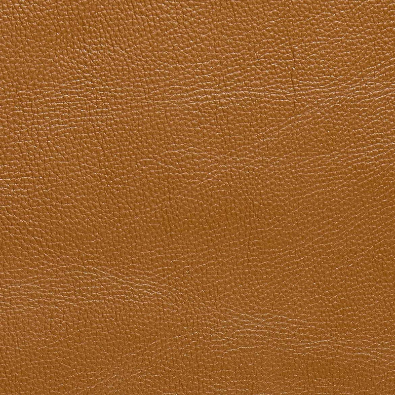 Martine Recliner, Fiona Tan, Oxford 