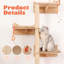 Arbre à chat mural - 7 tablettes murales et perchoirs pour chat avec poteaux à griffer en sisal haut, arbre à chat mural et meubles peu encombrants pour les chats d'intérieur