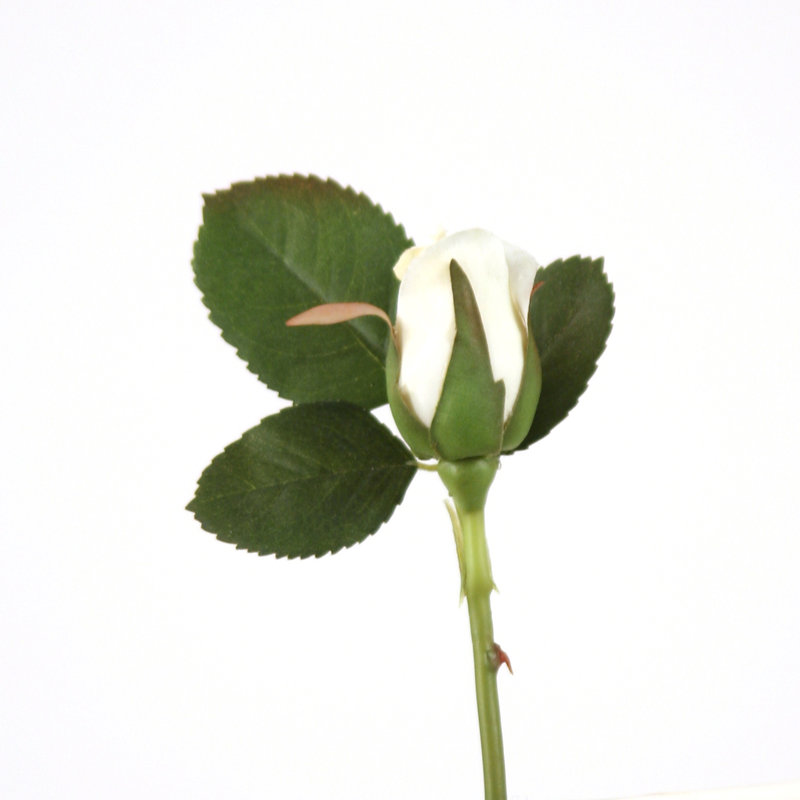 Polysilk Rose Arrangement