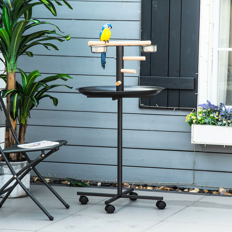 Support portatif pour perroquet, quatre roues, bols en acier inoxydable, gris, station d'alimentation pour oiseaux