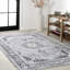 Frutuosa Bohemian Distressed Chenille Machine-Washable Grey/White Rug-88570916