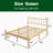 Eco-friendly Bamboo Platform Bed With Carved Headboard Elegant Turned Legs & Storage Clearance Queen Bed Frame-1655494231
