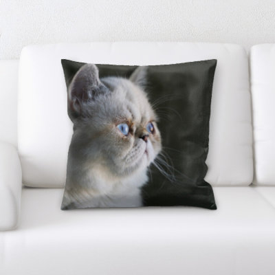 Coussin pour chat