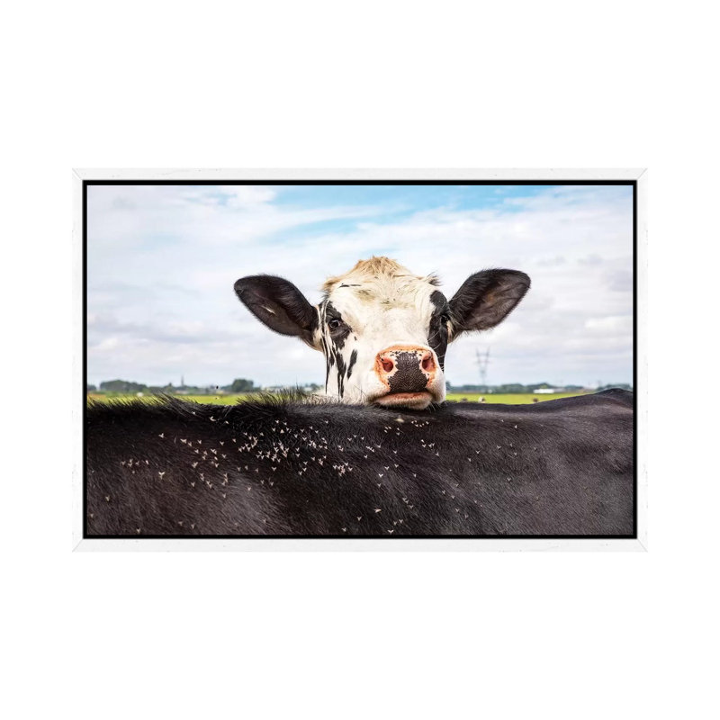 Hide And Seek by Clara Bastian - Print on Canvas, 66.04cm H x 101.6cm W x 3.81cm D, White Framed